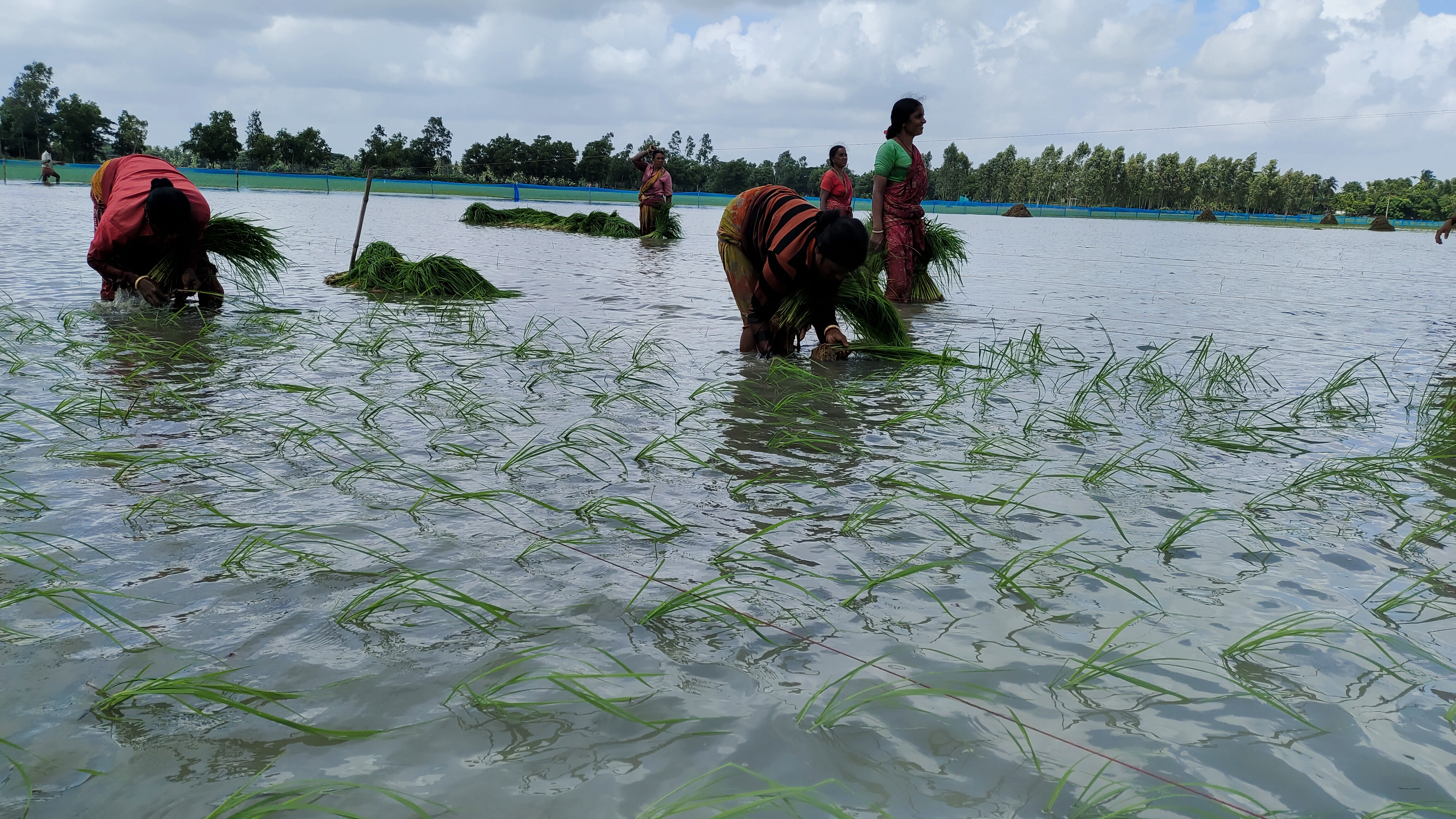 Empowering Farmers